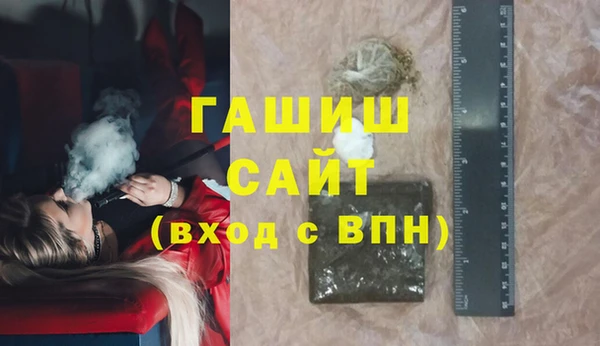 хмурый Пересвет
