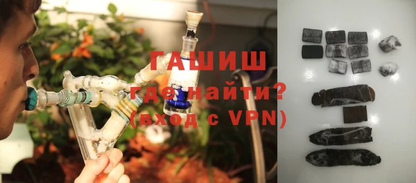 хмурый Пересвет