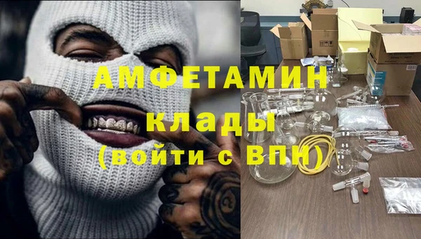 хмурый Пересвет