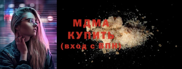 хмурый Пересвет