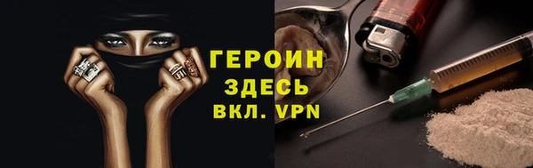 хмурый Пересвет