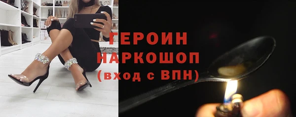 хмурый Пересвет