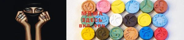 хмурый Пересвет