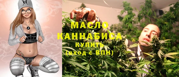 хмурый Пересвет