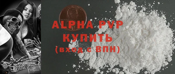 хмурый Пересвет
