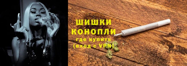 хмурый Пересвет