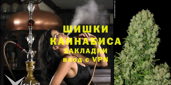хмурый Пересвет