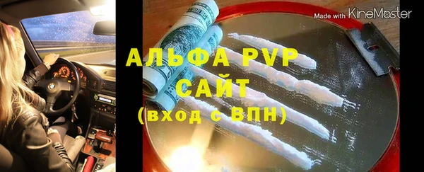 хмурый Пересвет